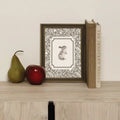 Brown Bunny 7x9 Frame