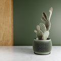 6" Green Honeycomb Pot (Copy)