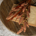 Rust Grass Spray